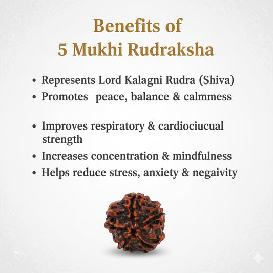 5 Mukhi Rudraksha Gold-Plated Pendant – AA Premium Quality