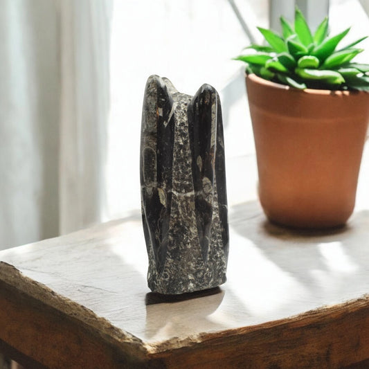 Kuber (Orthoceras) Figurine - 20.32 cm Reiki Crystal Idol, 1700 Gram