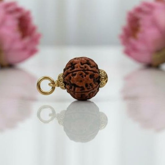 6 Mukhi Rudraksha Gold-Plated Pendant – A Premium Quality