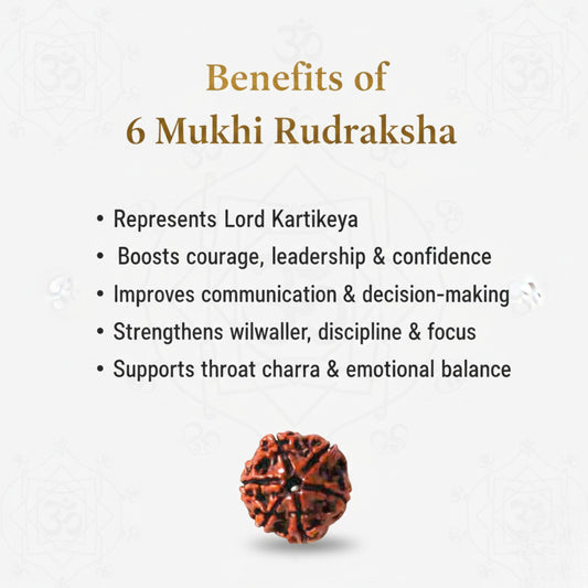 6 Mukhi Rudraksha Gold-Plated Pendant – AA Premium Quality