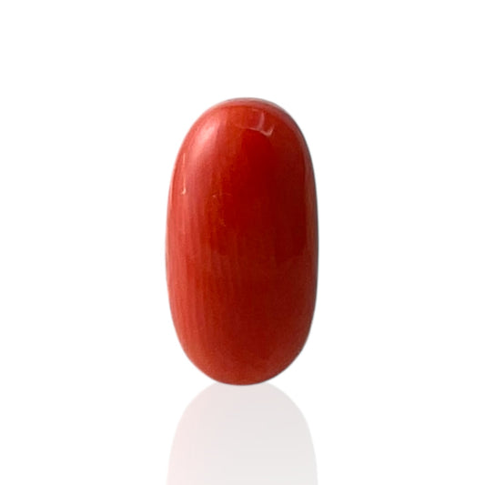 Red Coral (Italian) - 5.73 Carat