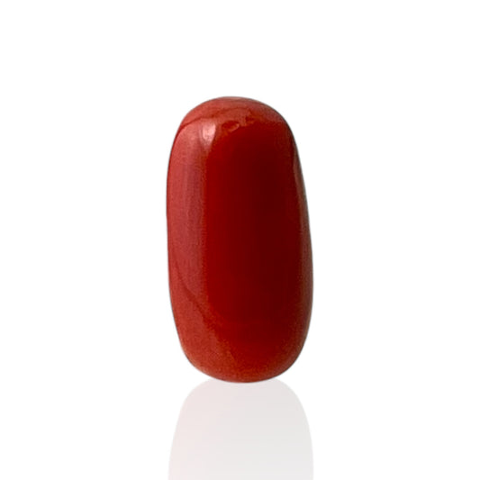 Red Coral (Italian) - 7.4 Carat