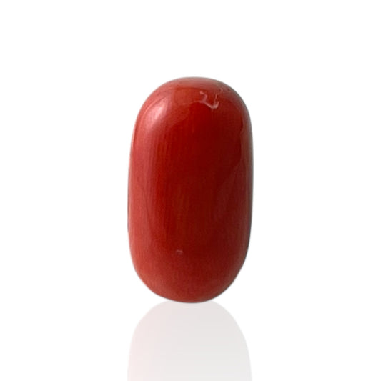 Red Coral (Italian) - 7.17 Carat