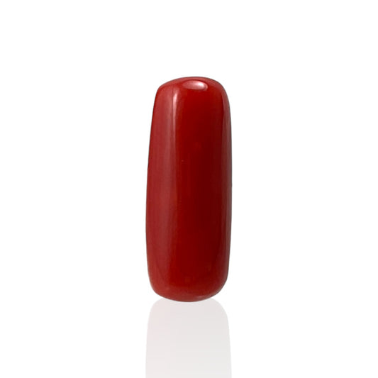 Red Coral (Italian) - 6.52 Carat