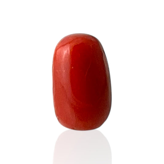 Red Coral (Italian) - 7.22 Carat