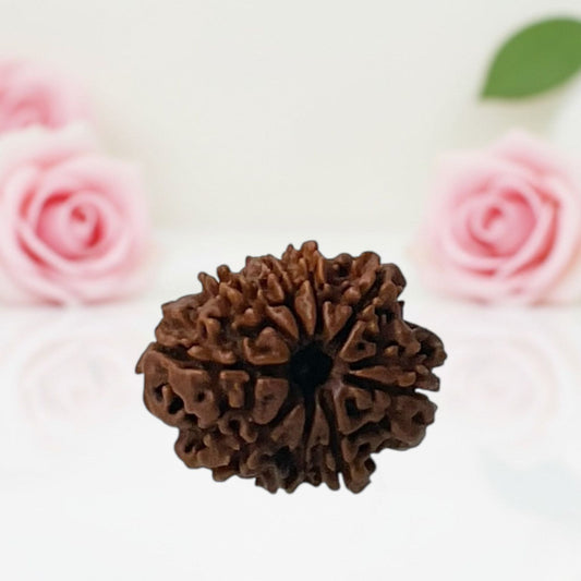 Natural 9 Mukhi Rudraksha Beads – A Premium Quality