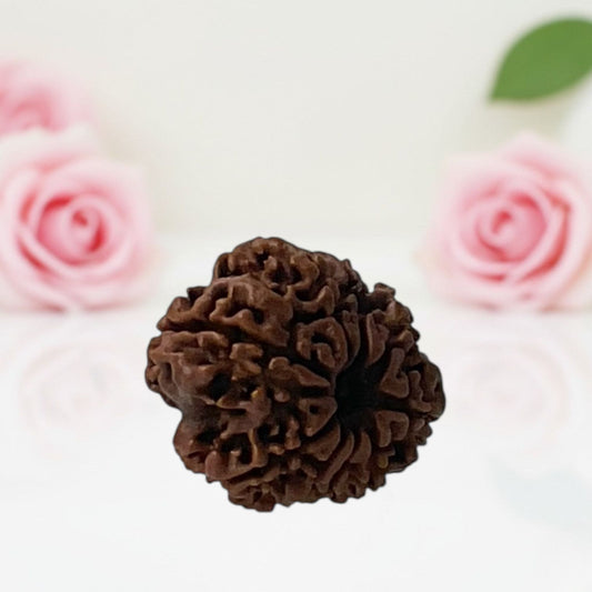 Natural 9 Mukhi Rudraksha Beads – A Premium Quality