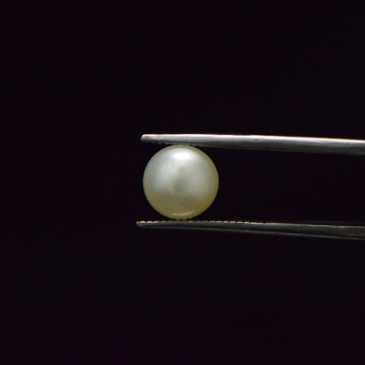 South Sea Pearl - 4.61 Carat