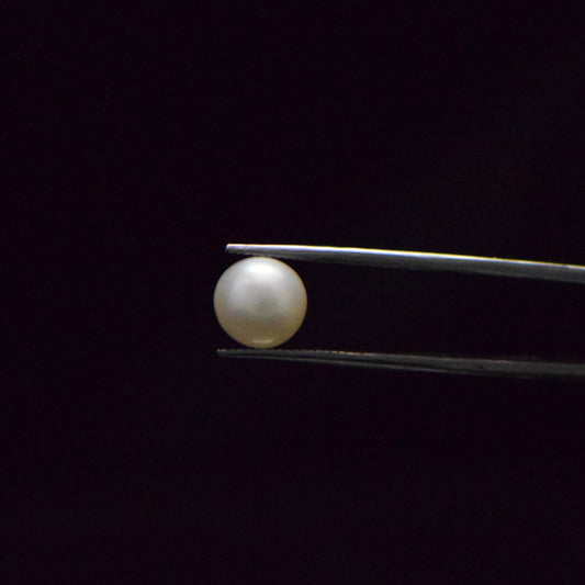 South Sea Pearl - 5.87 Carat