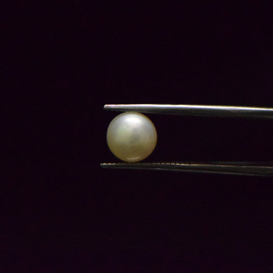 South Sea Pearl - 4.06 Carat