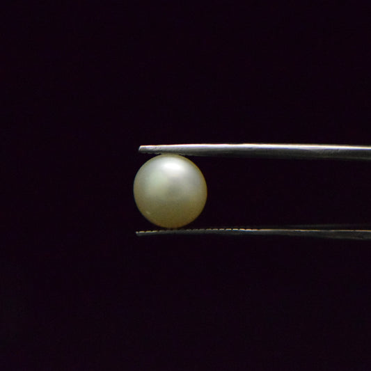 South Sea Pearl - 5.09 Carat