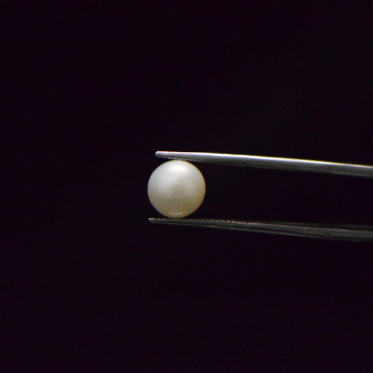 South Sea Pearl - 4.64 Carat