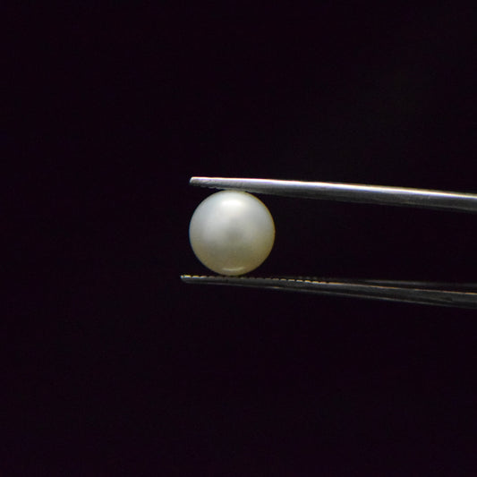 South Sea Pearl - 4.55 Carat