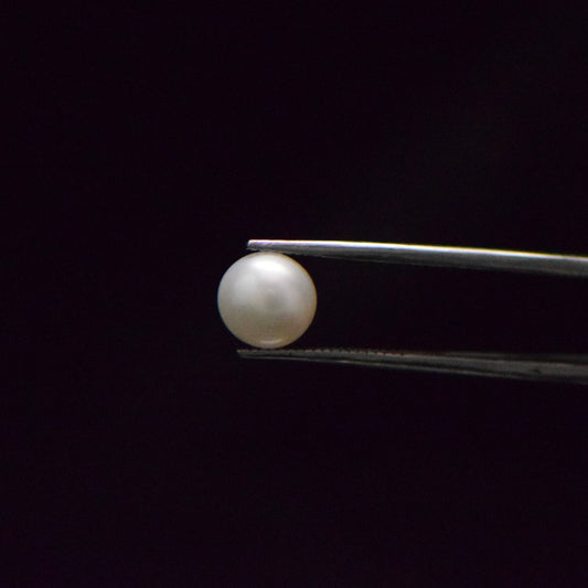 South Sea Pearl - 4.56 Carat