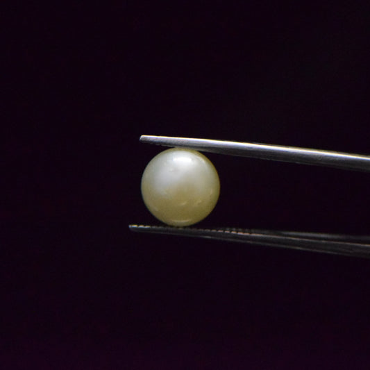 South Sea Pearl - 6.39 Carat