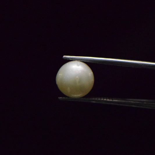 South Sea Pearl - 7.67 Carat