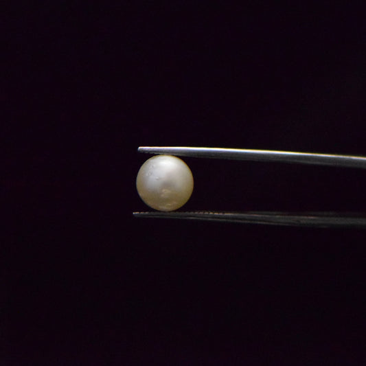 South Sea Pearl - 5.75 Carat