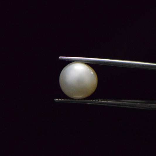 South Sea Pearl - 8.43 Carat
