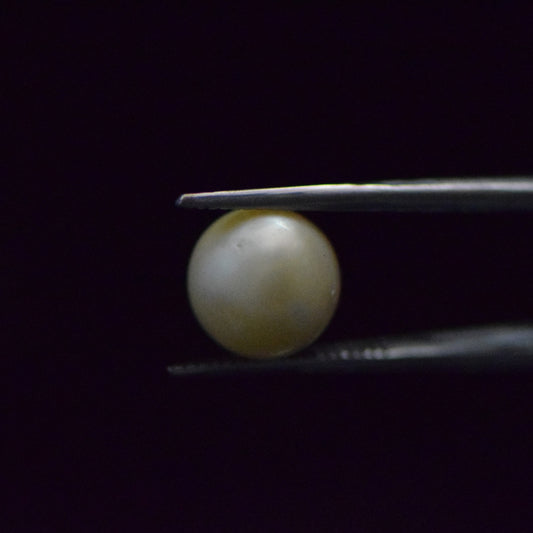 South Sea Pearl - 7.36 Carat