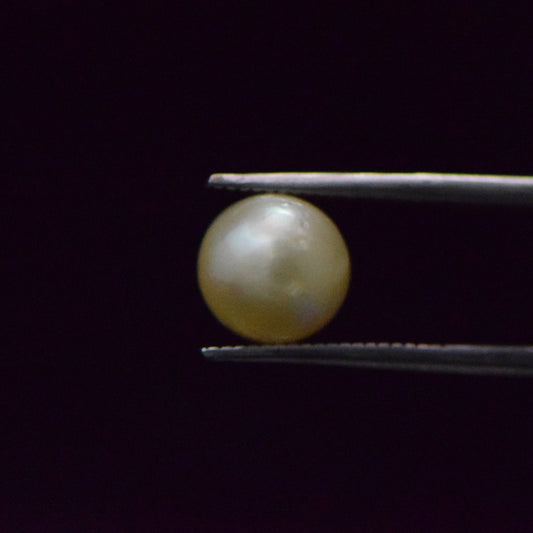 South Sea Pearl - 5.74 Carat