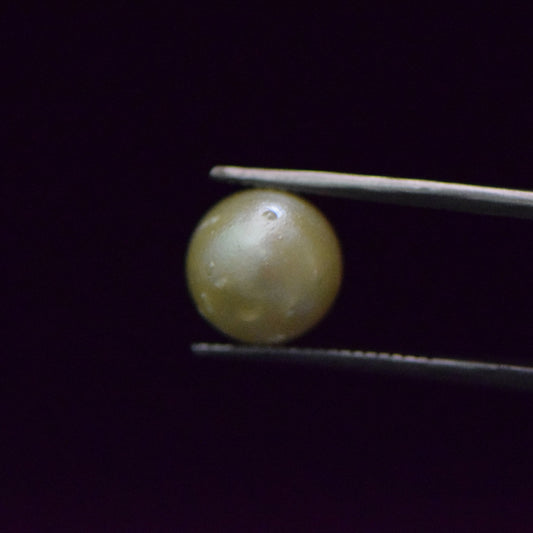 South Sea Pearl - 6.53 Carat