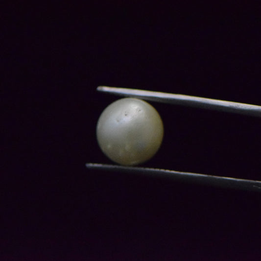 South Sea Pearl - 8.36 Carat