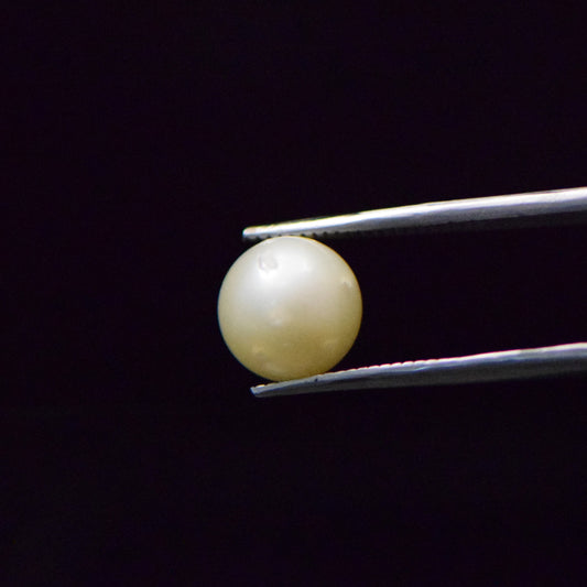 South Sea Pearl - 7.2 Carat