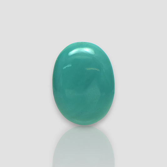 Irani Turquoise - 24.74 Carat / AA-Quality