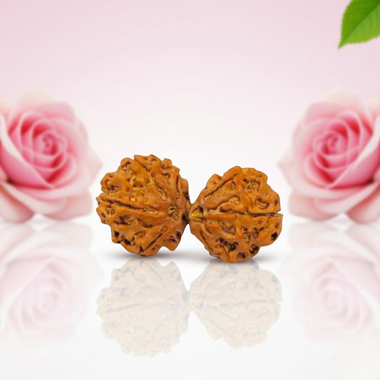 Gauri Shankar Rudraksha Beads