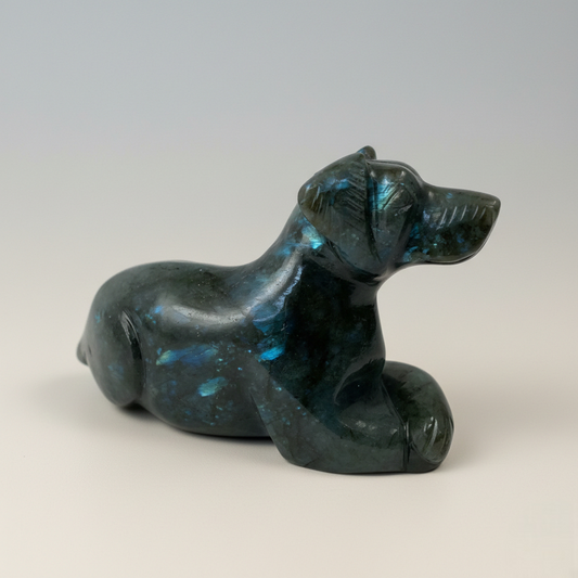 Labrodorite Dog