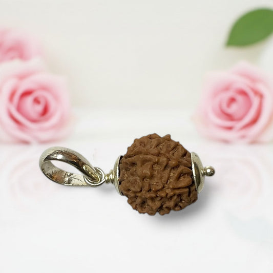 7 Mukhi Rudraksha Pendant A Premium Quality