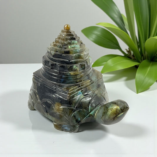 Labrodorite Shri Yantra