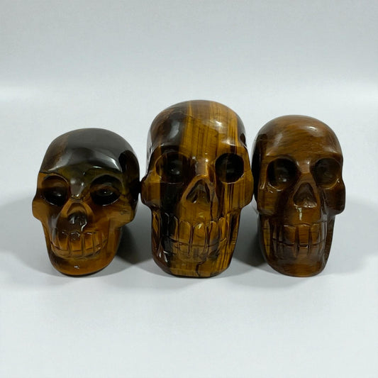 Tiger Eye Skull
