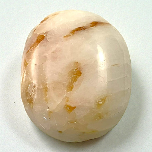 White Agate Palm
