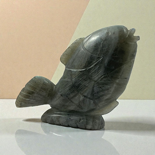 Labrodorite Fish