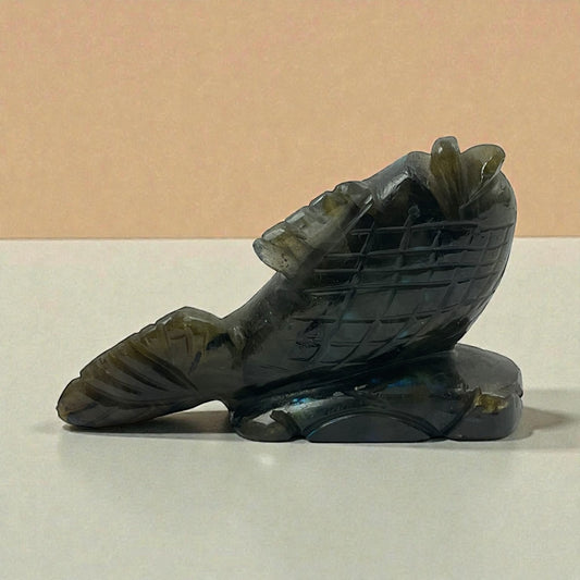 Labrodorite Fish