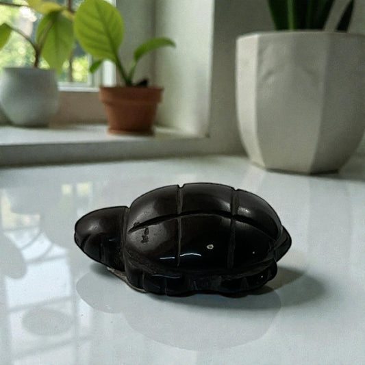 Black obsidian Turtle
