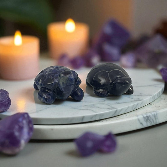 Sodalite Turtle