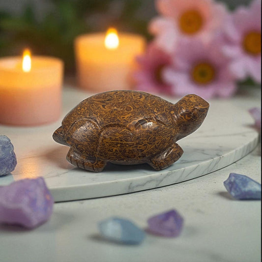 Mariyam JasperTurtle