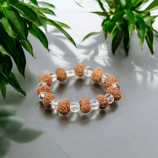 Natural 10 Mukhi Nepali Rudraksha + Sphatik Bracelet (14mm)