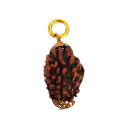 Natural 3 Mukhi Rudraksha Pendant