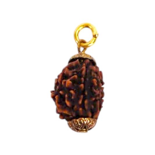 Natural 3 Mukhi Rudraksha Pendant