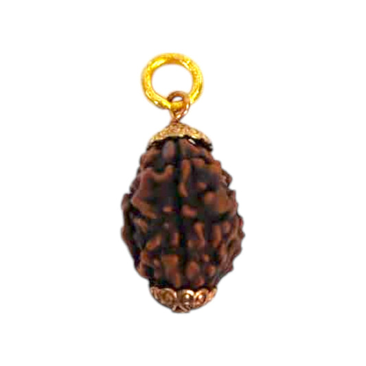 Natural 3 Mukhi Rudraksha Pendant