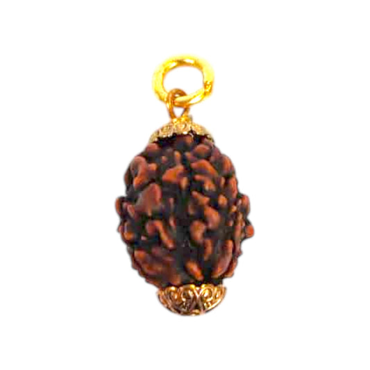 Natural 3 Mukhi Rudraksha Pendant