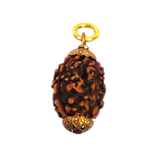 Natural 3 Mukhi Rudraksha Pendant