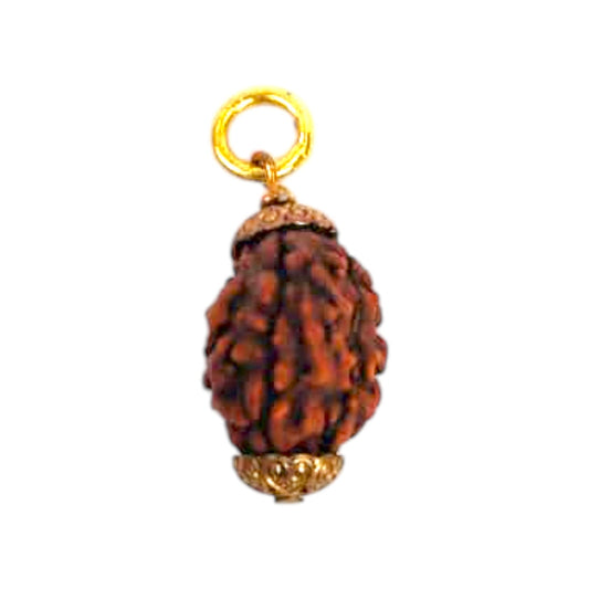 Natural 3 Mukhi Rudraksha Pendant