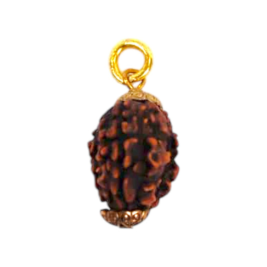 Natural 3 Mukhi Rudraksha Pendant