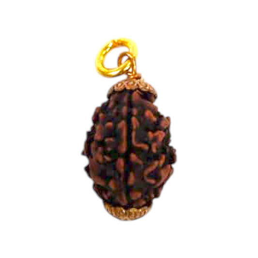 Natural 3 Mukhi Rudraksha Pendant