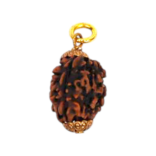 Natural 3 Mukhi Rudraksha Pendant