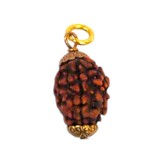Natural 3 Mukhi Rudraksha Pendant